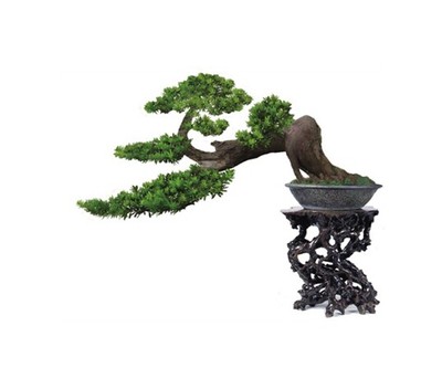 區域農產品